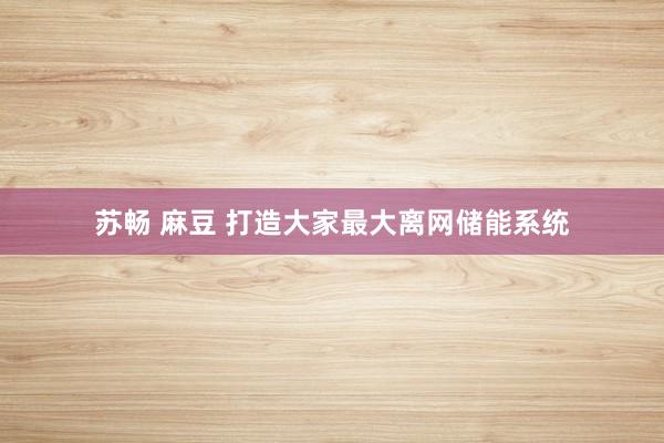 苏畅 麻豆 打造大家最大离网储能系统