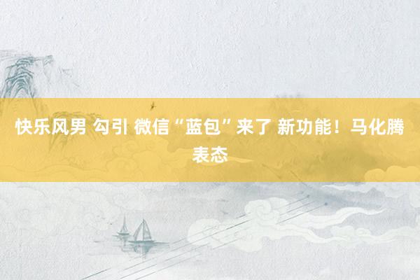 快乐风男 勾引 微信“蓝包”来了 新功能！马化腾表态