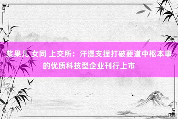 浆果儿 女同 上交所：汗漫支捏打破要道中枢本事的优质科技型企业刊行上市