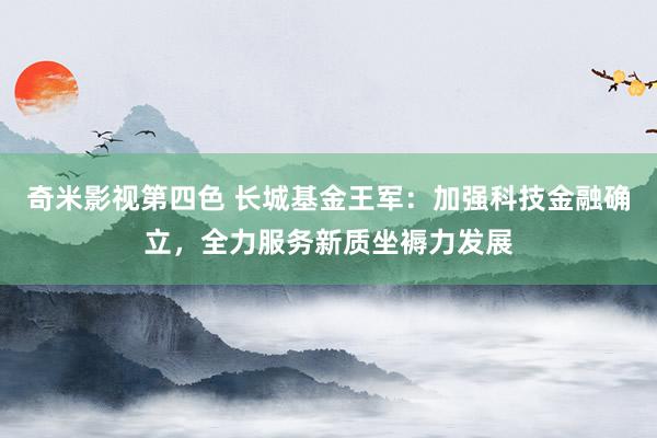 奇米影视第四色 长城基金王军：加强科技金融确立，全力服务新质坐褥力发展