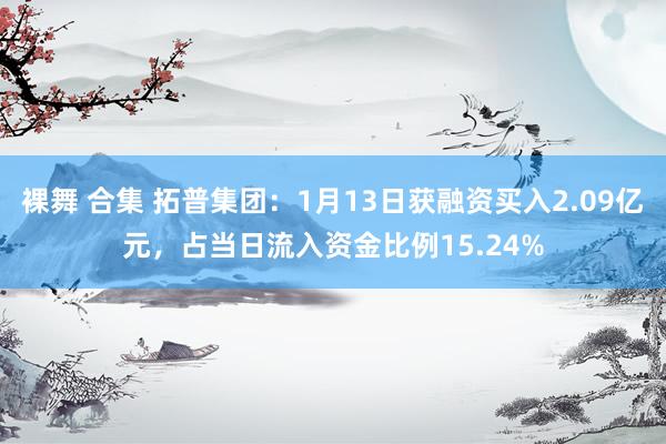 裸舞 合集 拓普集团：1月13日获融资买入2.09亿元，占当日流入资金比例15.24%