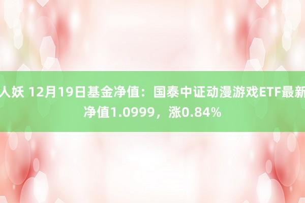 人妖 12月19日基金净值：国泰中证动漫游戏ETF最新净值1.0999，涨0.84%