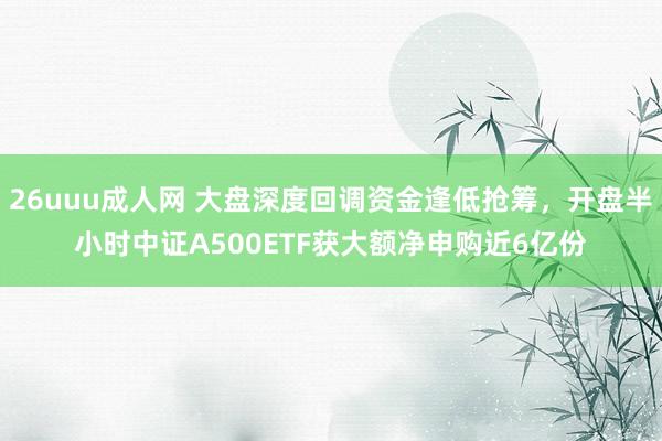 26uuu成人网 大盘深度回调资金逢低抢筹，开盘半小时中证A500ETF获大额净申购近6亿份