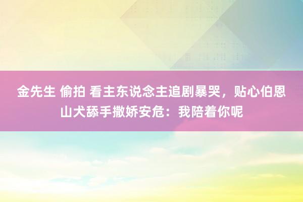 金先生 偷拍 看主东说念主追剧暴哭，贴心伯恩山犬舔手撒娇安危：我陪着你呢