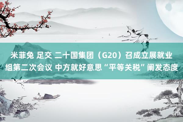 米菲兔 足交 二十国集团（G20）召成立展就业组第二次会议 中方就好意思“平等关税”阐发态度