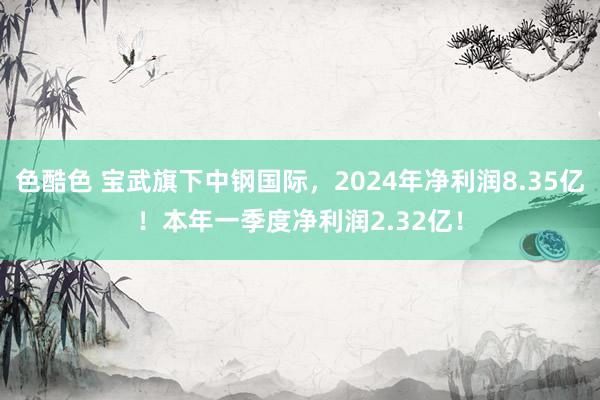 色酷色 宝武旗下中钢国际，2024年净利润8.35亿！本年一季度净利润2.32亿！