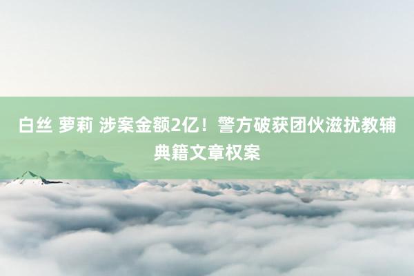 白丝 萝莉 涉案金额2亿！警方破获团伙滋扰教辅典籍文章权案