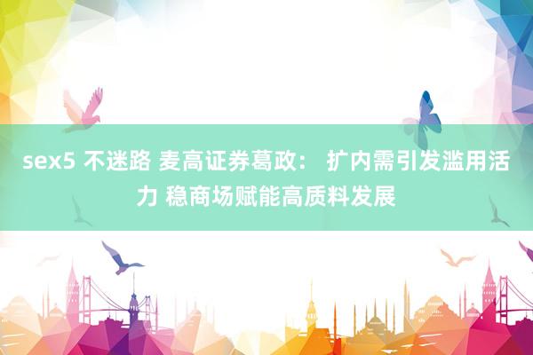 sex5 不迷路 麦高证券葛政： 扩内需引发滥用活力 稳商场赋能高质料发展