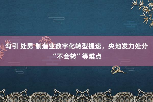 勾引 处男 制造业数字化转型提速，央地发力处分“不会转”等难点
