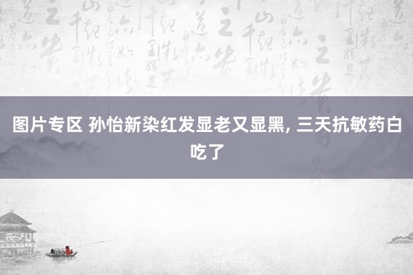 图片专区 孙怡新染红发显老又显黑， 三天抗敏药白吃了
