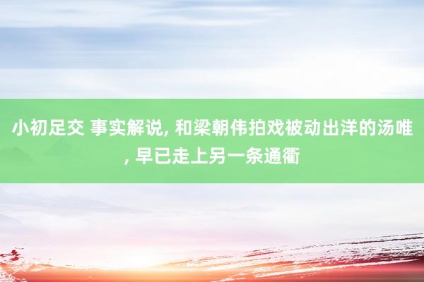 小初足交 事实解说， 和梁朝伟拍戏被动出洋的汤唯， 早已走上另一条通衢