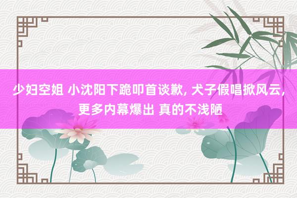 少妇空姐 小沈阳下跪叩首谈歉， 犬子假唱掀风云， 更多内幕爆出 真的不浅陋