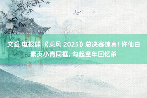 文爱 电报群 《乘风 2025》总决赛惊喜! 许仙白素贞小青同框， 勾起童年回忆杀
