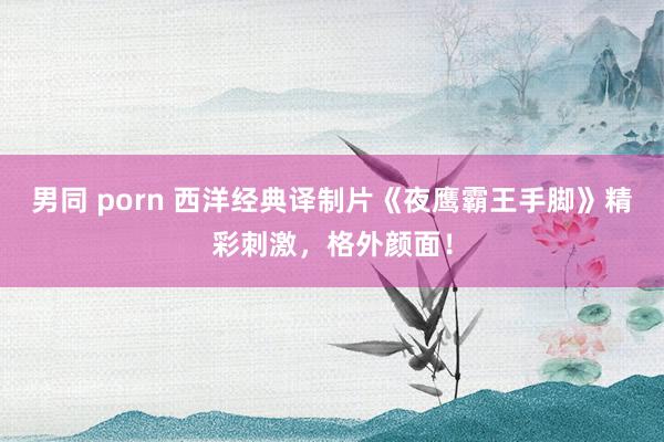 男同 porn 西洋经典译制片《夜鹰霸王手脚》精彩刺激，格外颜面！